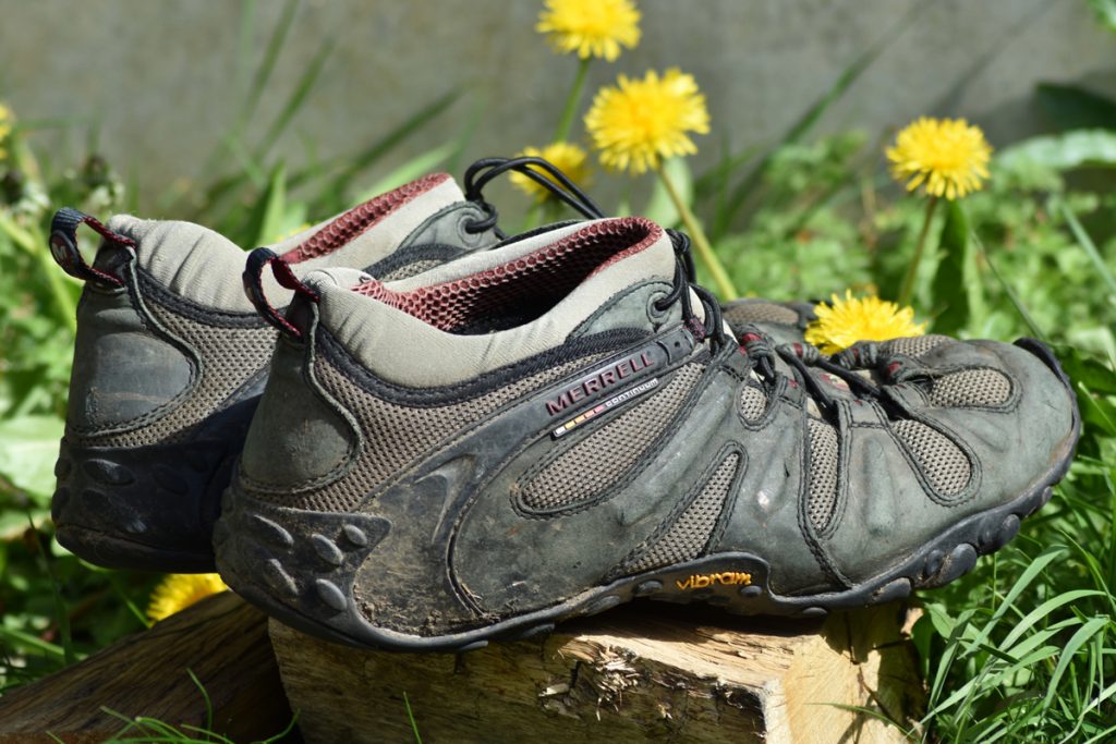 Merrell Chameleon